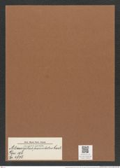 Actinocyclus fasciculatus Castr. (de-Toni-Nr.: Genus 195, Species 4776) Zeichnungen Sammlung Grunow Mappe 04640 (Herbarium_W_Grunow_drawings_Folder_04640)